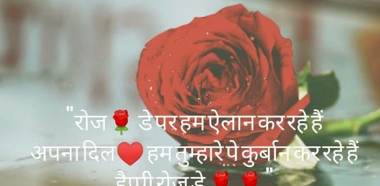 Rose Day Shayari In Hindi for Girlfriend